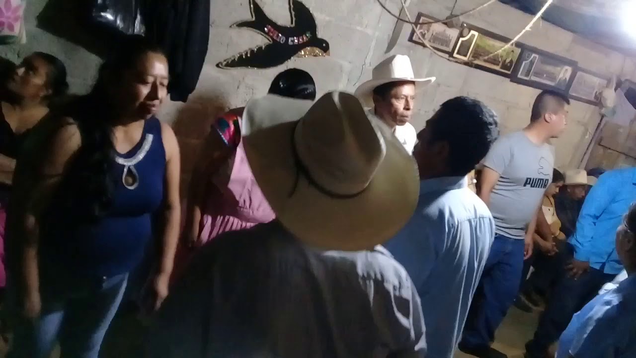 Gavilán Huasteco en Putaxcat, y toda la familia Nuñez zapateando.