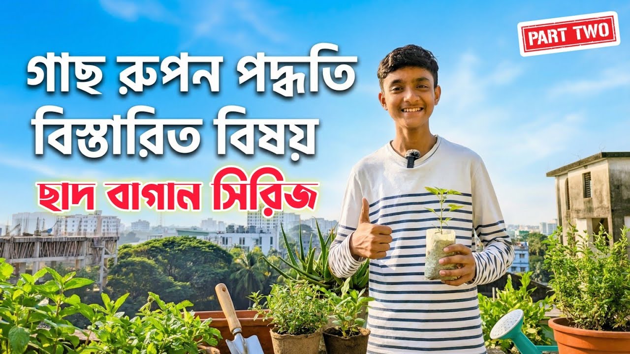 গাছ রোপন পদ্ধতি | ছাদ বাগান সিরিজ ২ | Easy Tree Planting on Rooftop Garden