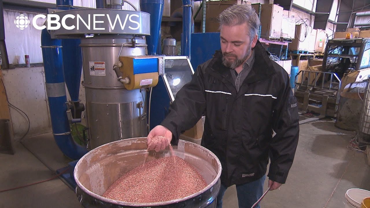 Canadian copper exports added to targets of Trump tariffs