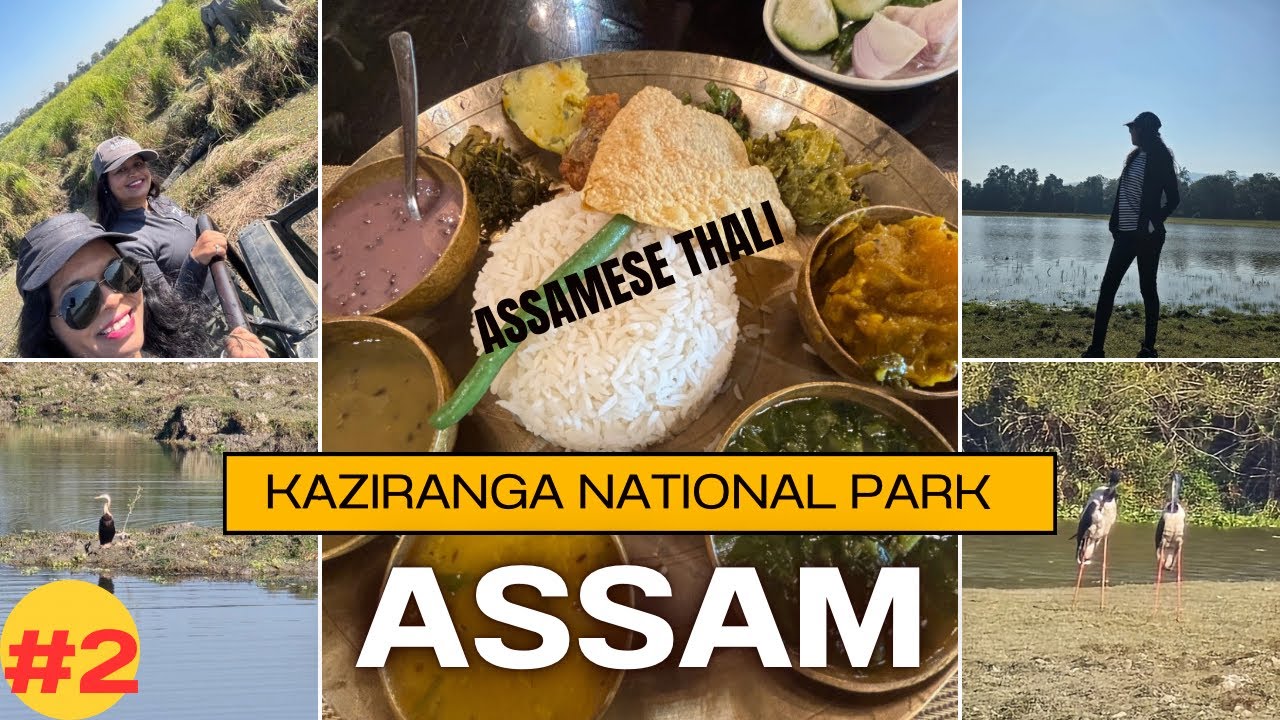 Kaziranga National Park & Assamese Veg Thali//Travelling Kaziranga to Shillong//  #assam #kaziranga
