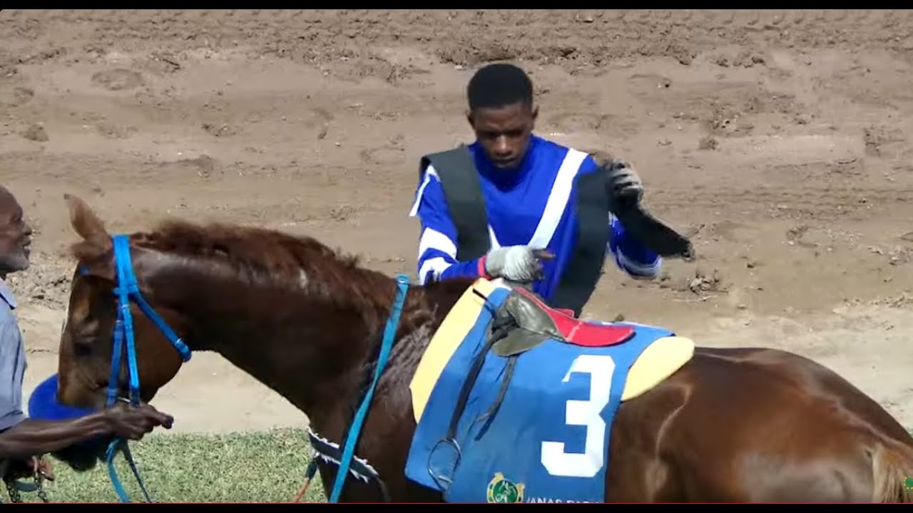 JAMAICA RACING: Briscoe 1st Career Win For Jockey Jureau Stewart, Sat, Aug 9, 2025, 3rd