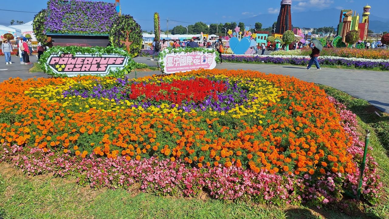 鄒浮安-台中國際花毯節-新社花海2025.11.24