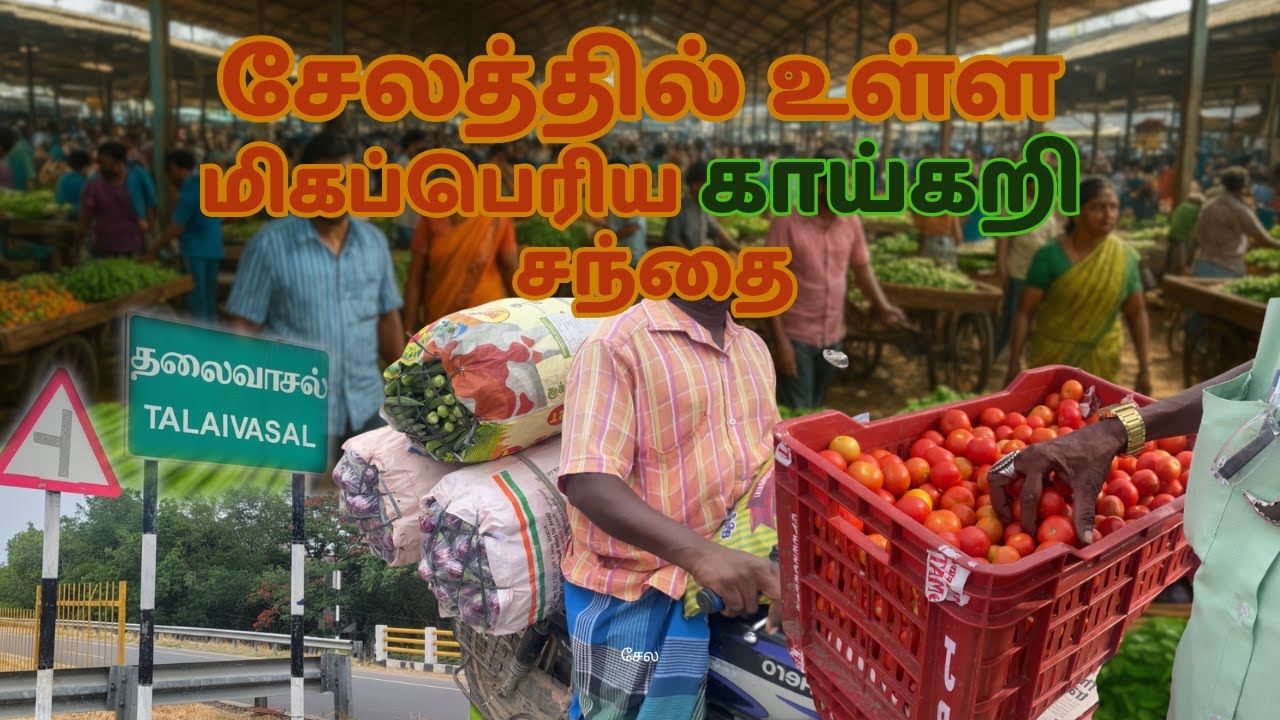 Exploring Salem's Biggest Market at 6 AM! | Daily Vegetables price Update| Tamil Nadu