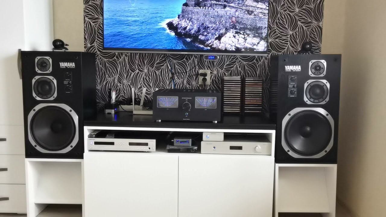 Yamaha NS-500M &  Rusich RM -X1ч1