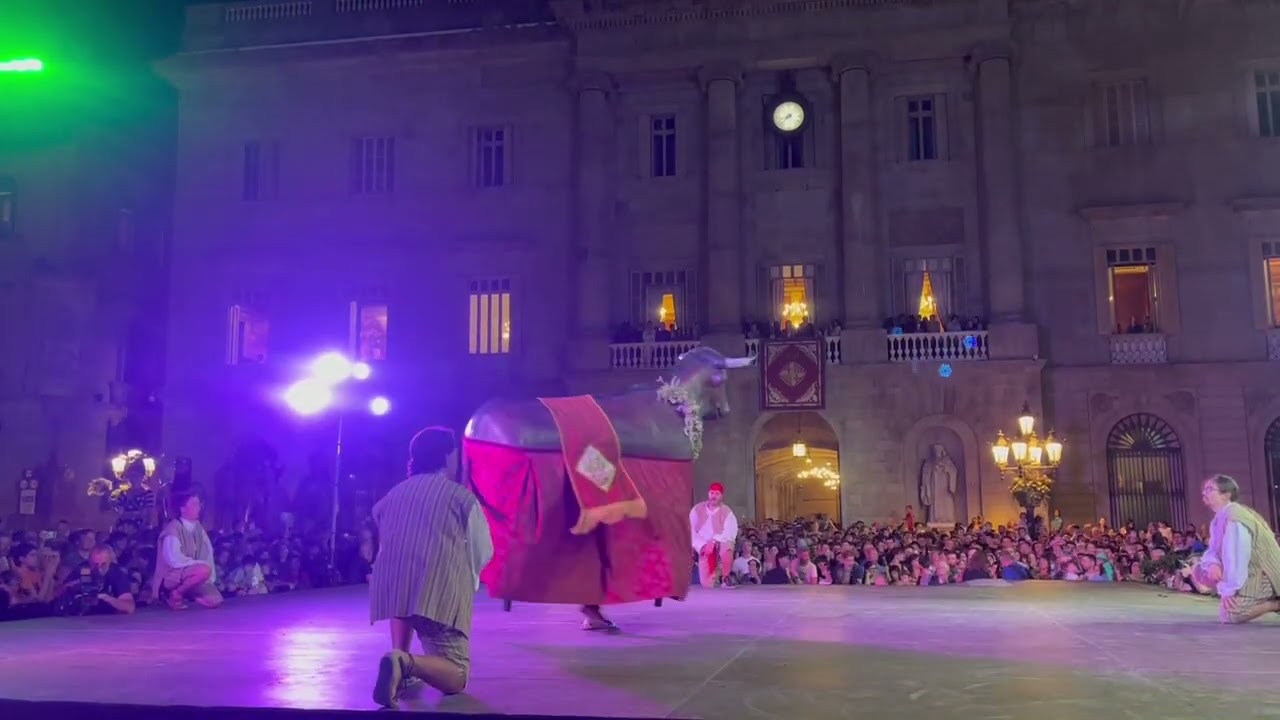 Ball del Bou de Barcelona | Danses vives