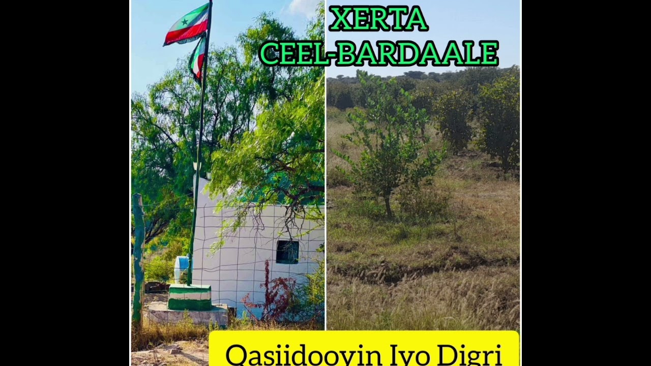 Sheekh Macalin Xuseen CEEL-BARDAALE