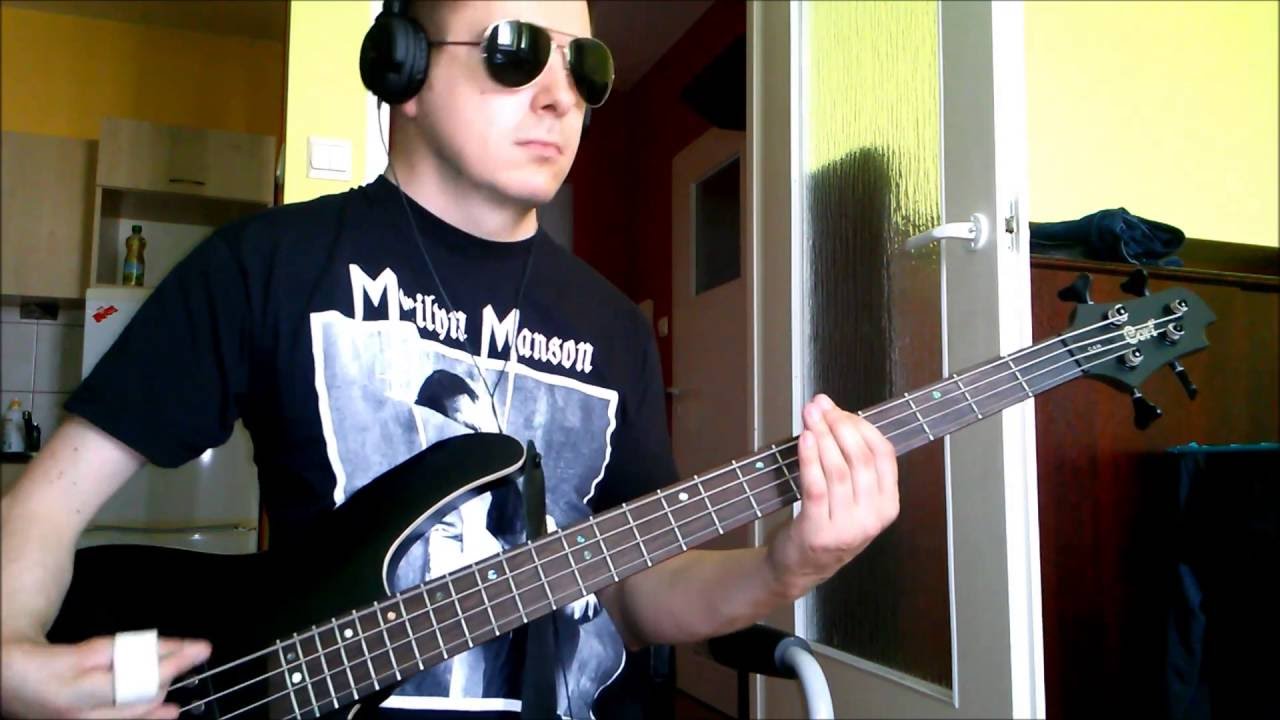 Pink - Just Like A Pill (bass cover)
