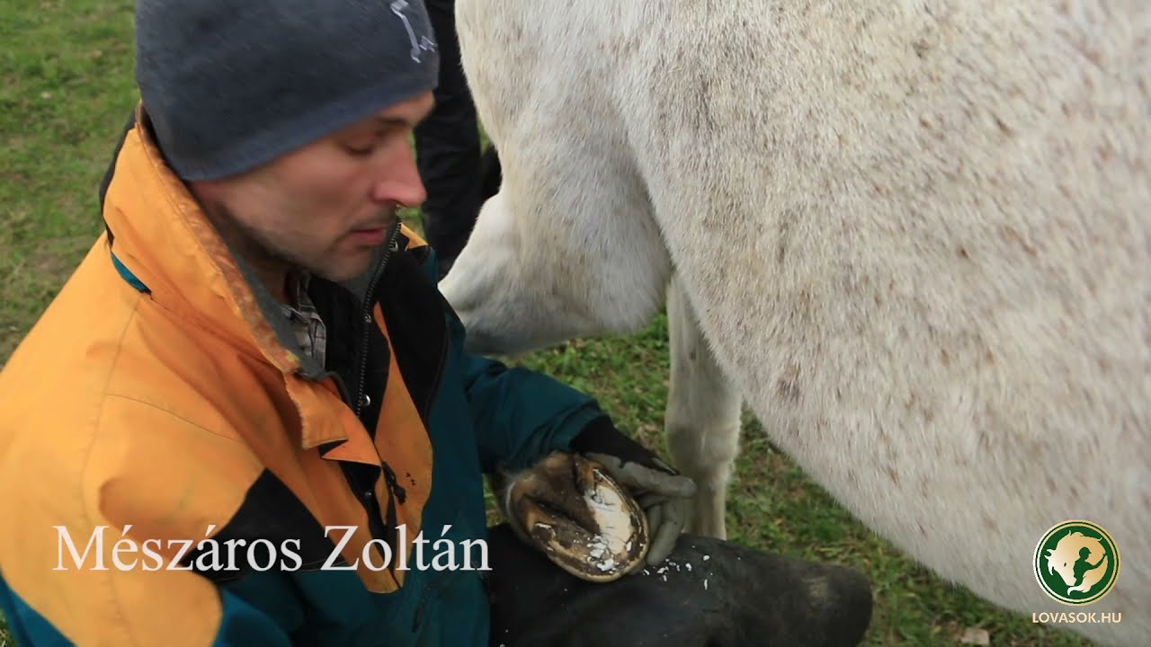 #1 Előzetes- Túra a Lovasok.hu-val- Z-Clinic- A természetes pata és körmölés