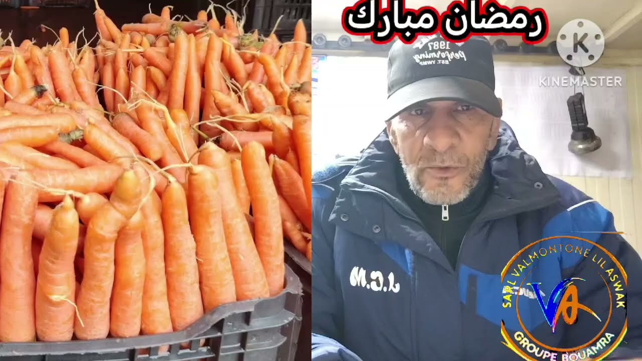 اسعار الخضر والفواكه في سوق الجملة تيغنيف ولاية معسكر ليوم الاحد 15 مارس 2026 أسواق الجزائر