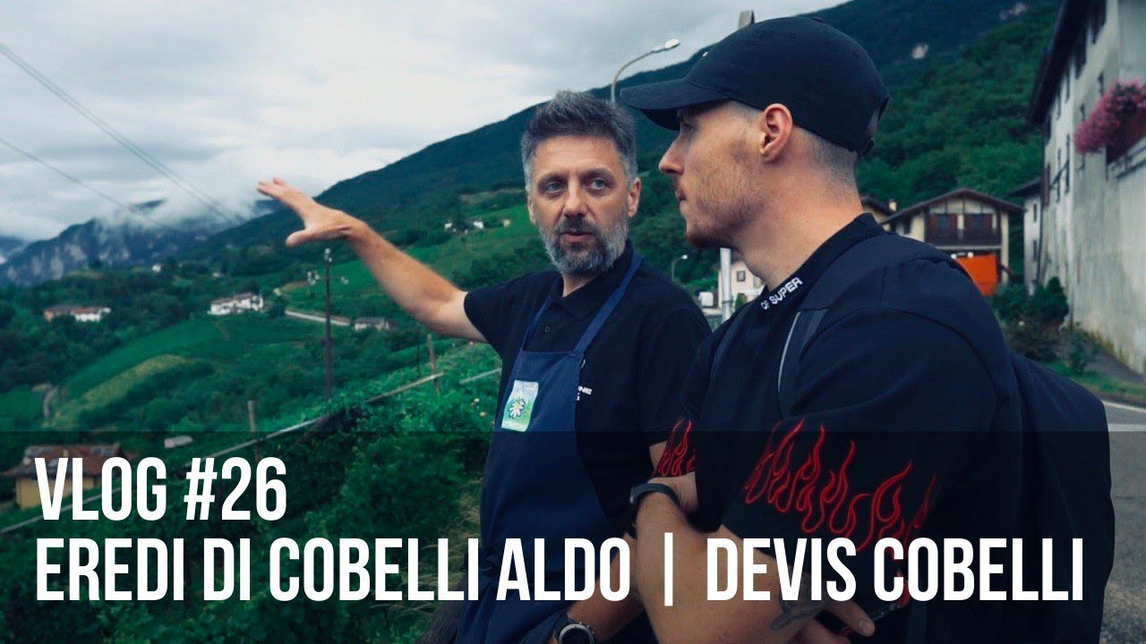 Vino BIOLOGICO a casa COBELLI | Eredi di Cobelli Aldo a Lavis