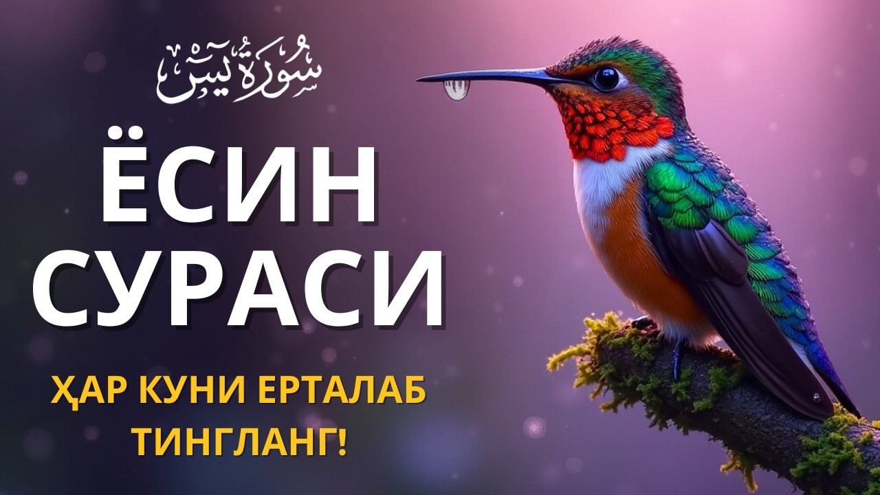 ЁСИН СУРАСИ - Узбек тилида! Ясин сураси - ҲАР КУНИ ЕРТАЛАБ ТИНГЛАНГ! Узбекча дуолар /Тонги дуо