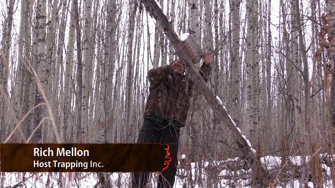 Trapping Inc. Эпизод 10. Мартен и Фишер. Сезон 3.