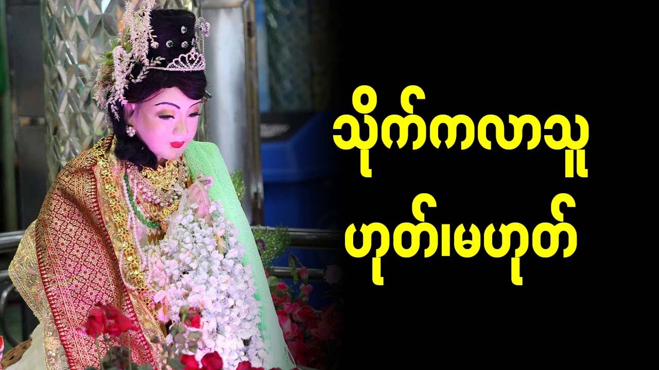 သိုက်ဆက်တို့၏ အမူအကျင့်နှင့် သွင်ပြင်လက္ခဏာများ (ထူးခြားမှုများ)