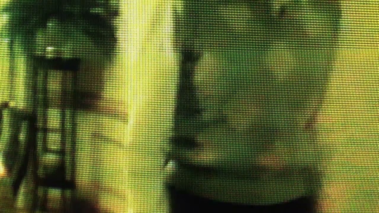 [free] greaf / bones / surrenderdorothy type beat 