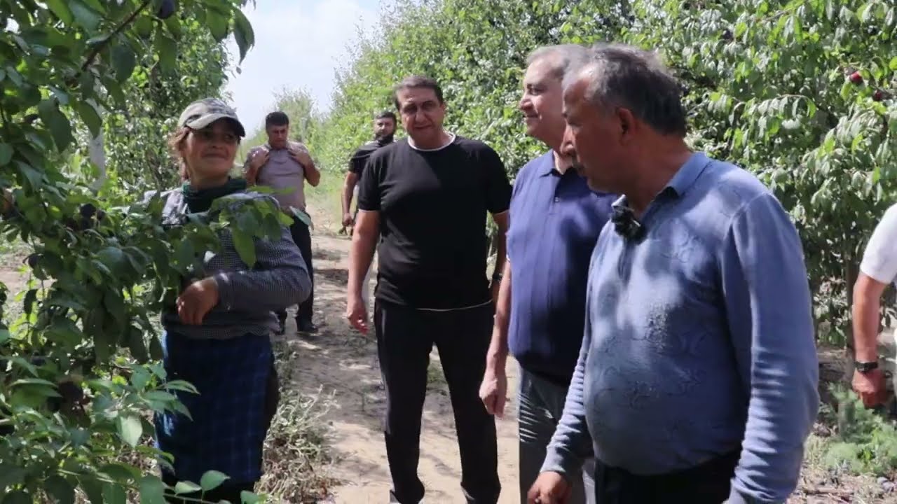 Мавсум Рагимов посетил сады ООО «Анжелина»