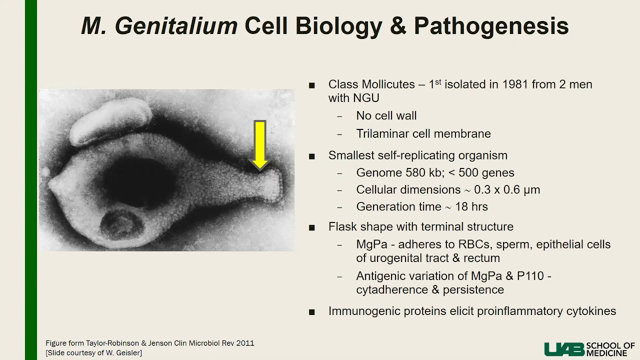 Resistance Guided Therapy for Mycoplasma genitalium: Application of Macrolide Resistance Testing