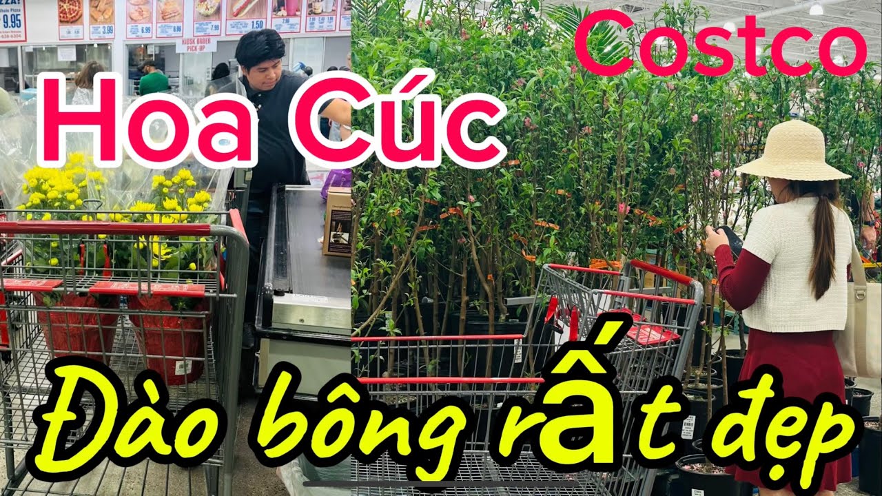 Đi Costco Garden Grove, Gặp YouTuber Xinh Đẹp! Hàng Tết Về Tràn Ngập, Cây Đào, Hoa Cúc, Rượu Và …