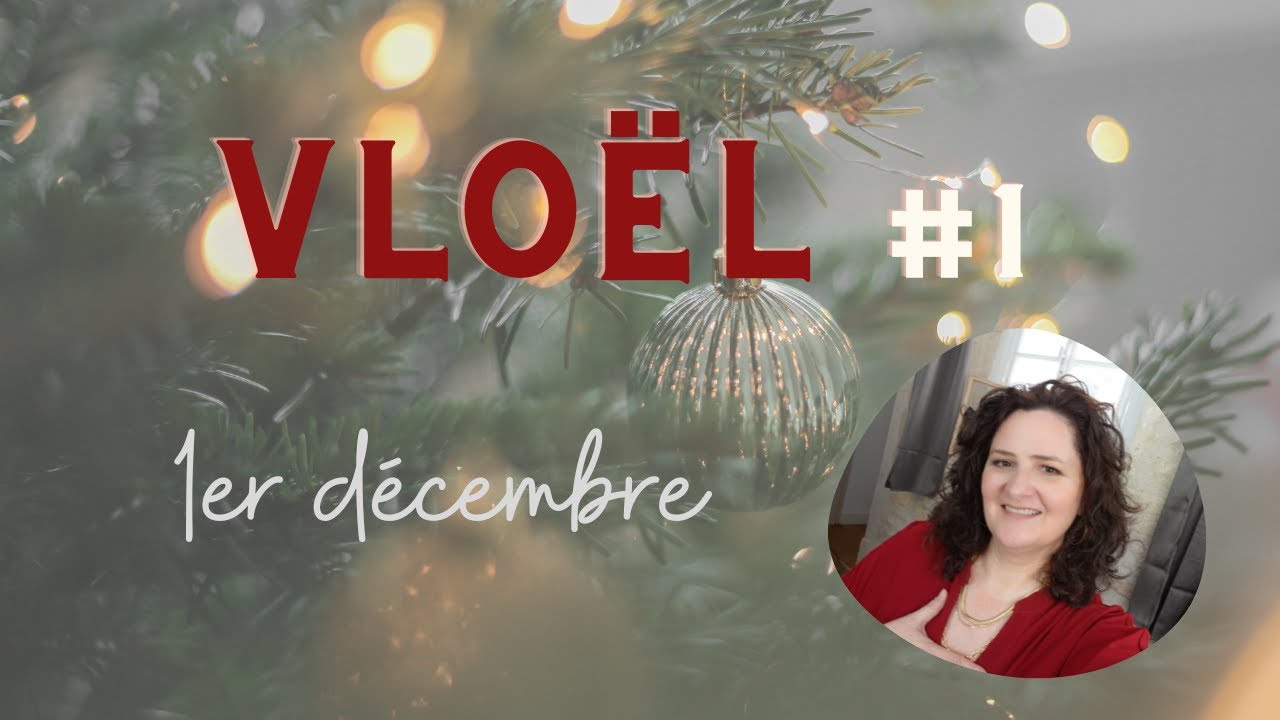 Vloël 1 ( oui c'est pas un vlogmas chez moi!)