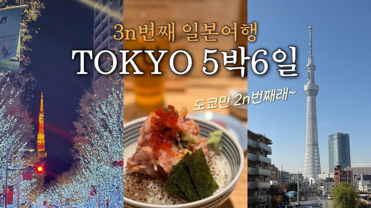 🇯🇵 3n번째 일본 여행 l 2년만에 도쿄 여행 브이로그🗼