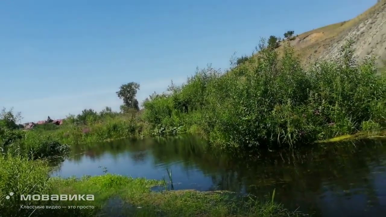 Я поля влюблённым постелю
