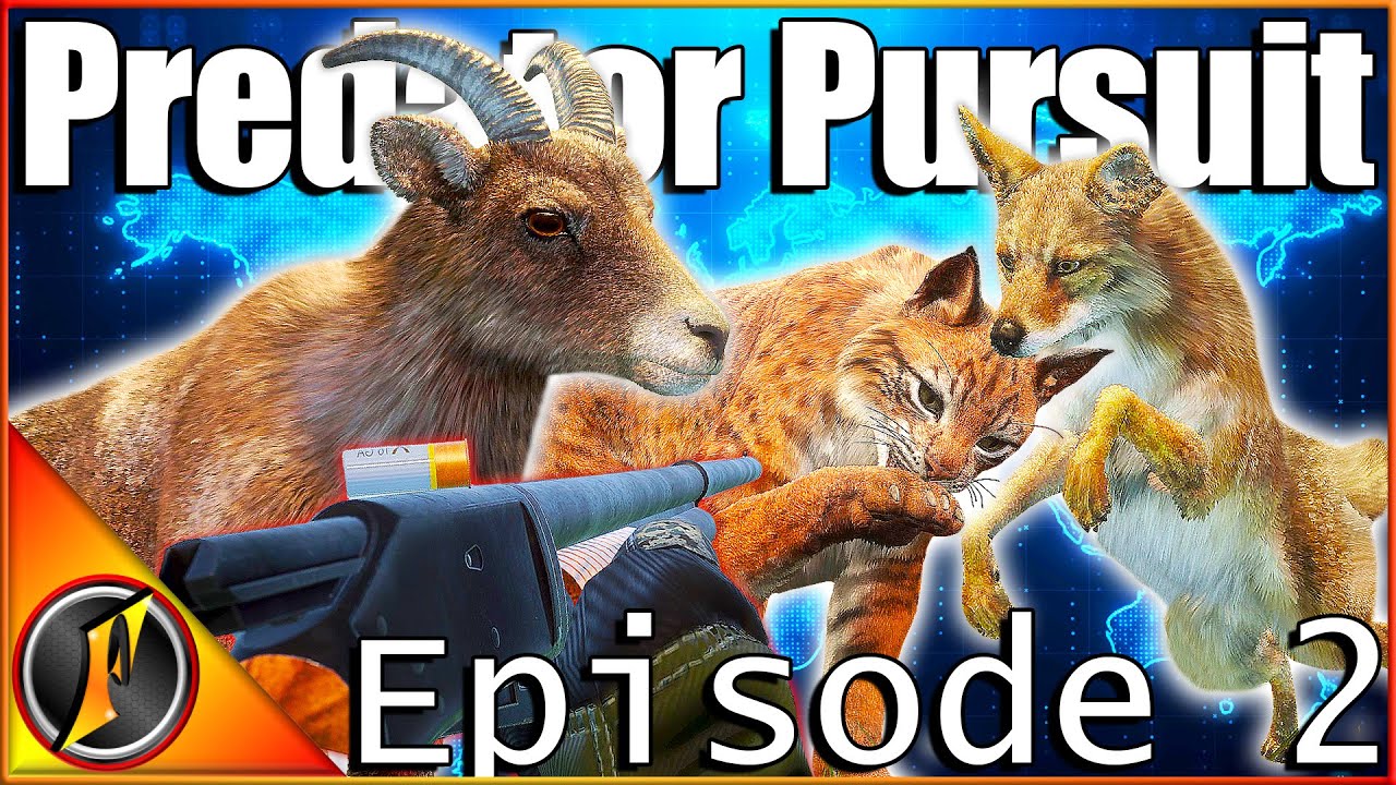 ДВОЙНОЙ Пегий + В погоне за пустынными хищниками! | theHunter Зов дикой природы