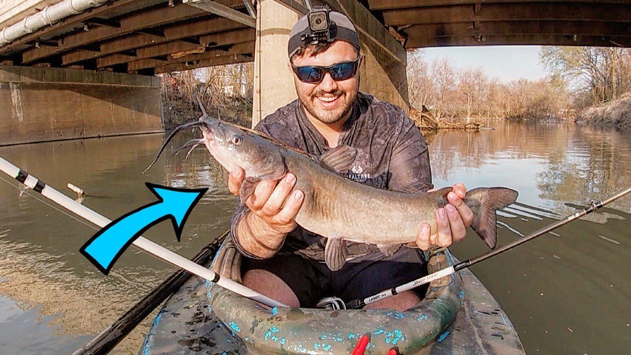 Kayak Catfishing with Cut Bait on a Small River! | Kayak Fishing 2021