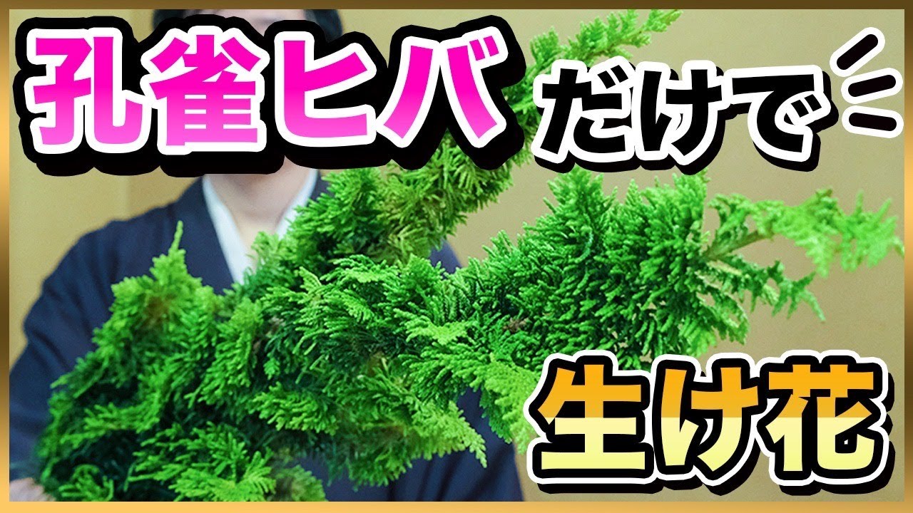 【プロの技】孔雀ヒバだけで生け花してみた！