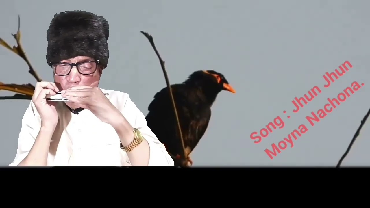 Jhun Jhun Moyna Nachona on Harmonica by Aditya Narayan Das.