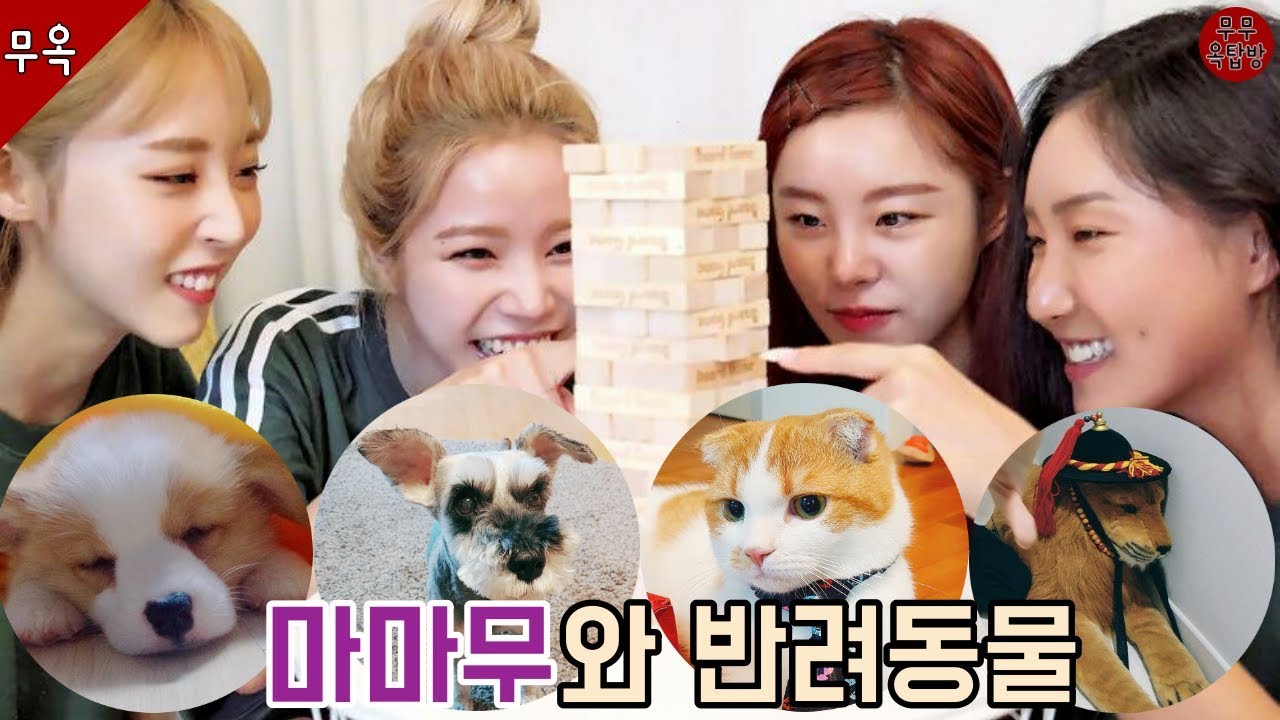 [마마무] 와 반려동물 (힐링영상)