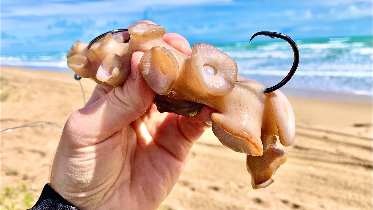 24 HOUR SOLO BEACH FISHING MISSION WITH THIS BAIT !?!