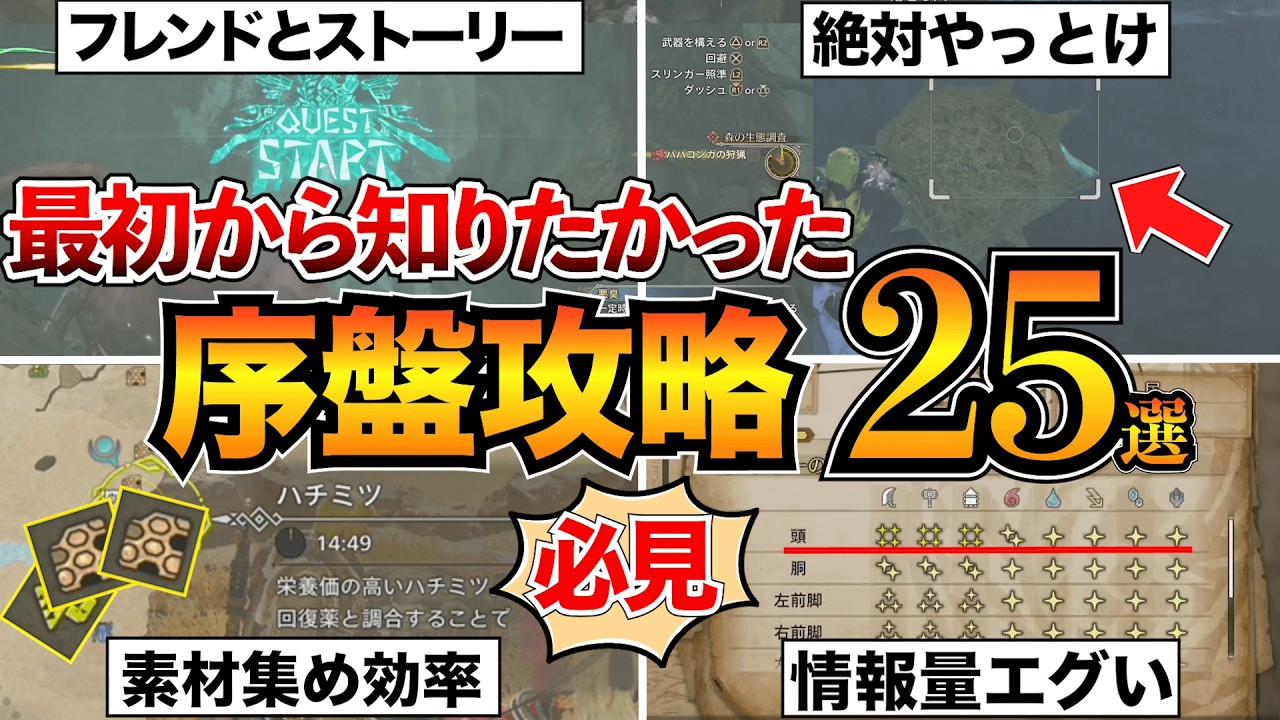 【モンハンワイルズ】序盤攻略まとめ！最初に知るべき基礎知識やコツを25個紹介【初心者必見】