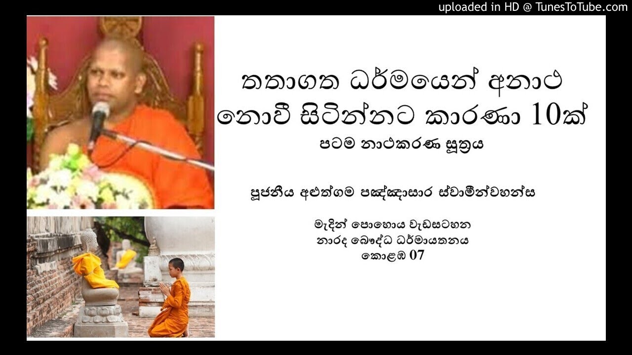 අනාථ නොවී සිටින්නට තතාගත ධර්මය| අළුත්ගම පඤ්ඤාසාර හිමි| Aluthgama Pannasara himi