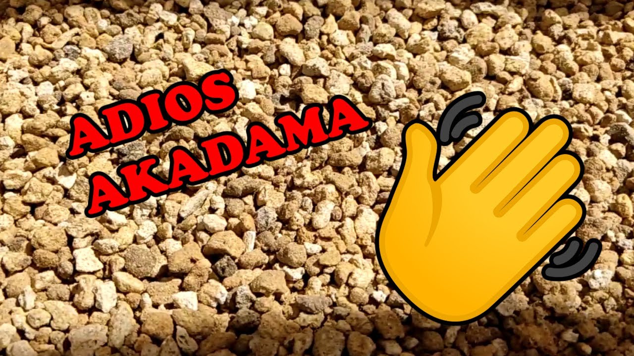 Adiós AKADAMA | MI Alternativa de sustrato