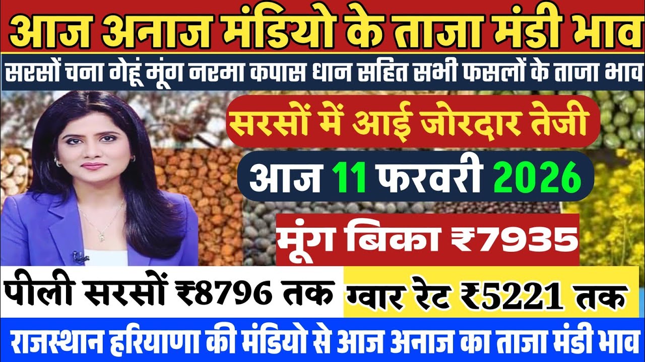 Grain Market Prices| 11/03/2026🔥 Mustard prices rise again | Today's latest market prices | Mustard, Moong, Guar, all crops prices