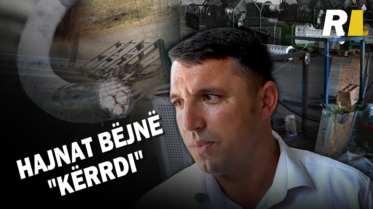 Vjedhje si në filma, hajnat bëjnë 