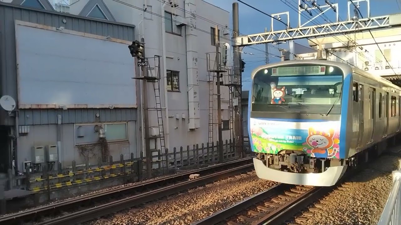 相鉄11000系11002編成12代目そうにゃんトレイン各停湘南台行