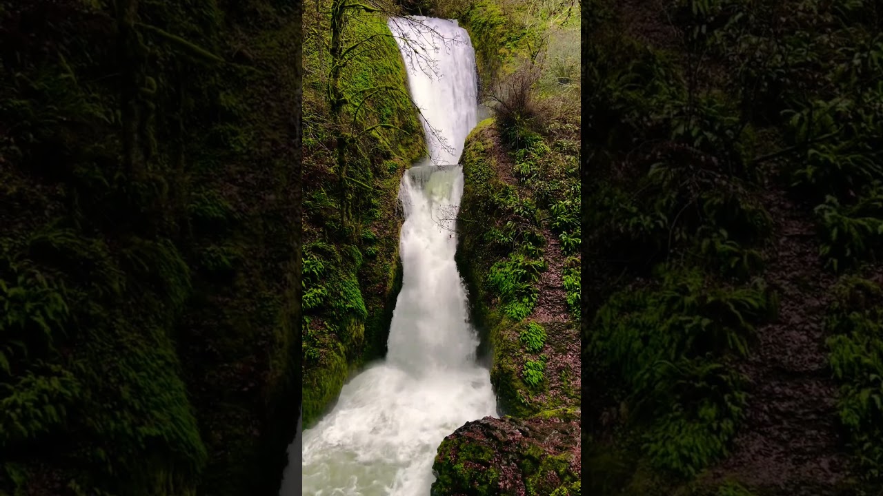 A stunning double waterfall cascading in perfect harmony. 🌿💧 #waterfallwonder  #purenature