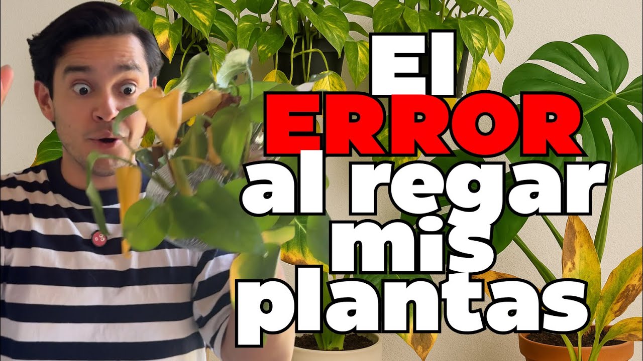¿Por qué se mueren tus plantas?💀🌿 Errores de RIEGO y HUMEDAD que nadie te explica | La Reina Plantil