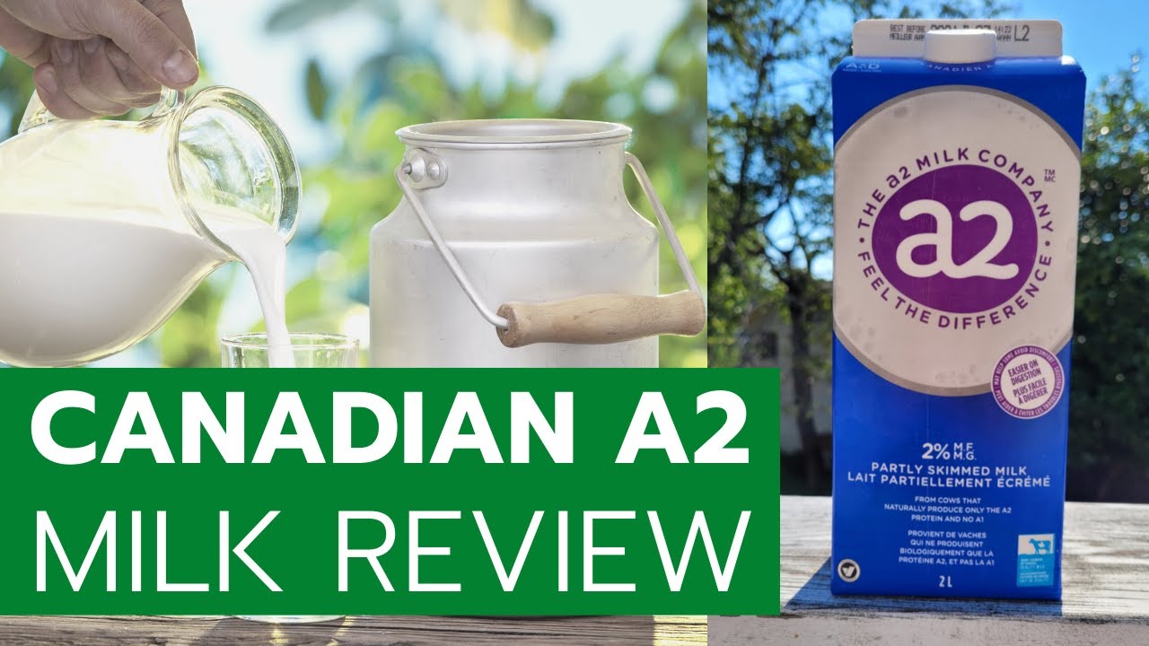 What is A2 Milk? Explained by a Dietitian Nutritionist