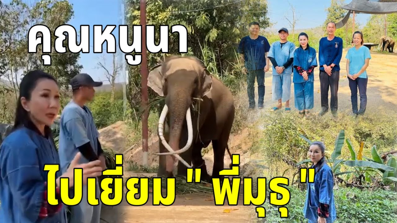 คุณหนูนา มาเยี่ยมพลายศักดิ์สุรินทร์ ตอนนี้ ขมับบวมน้ำมันยังไม่ไหลท่าจะปวด