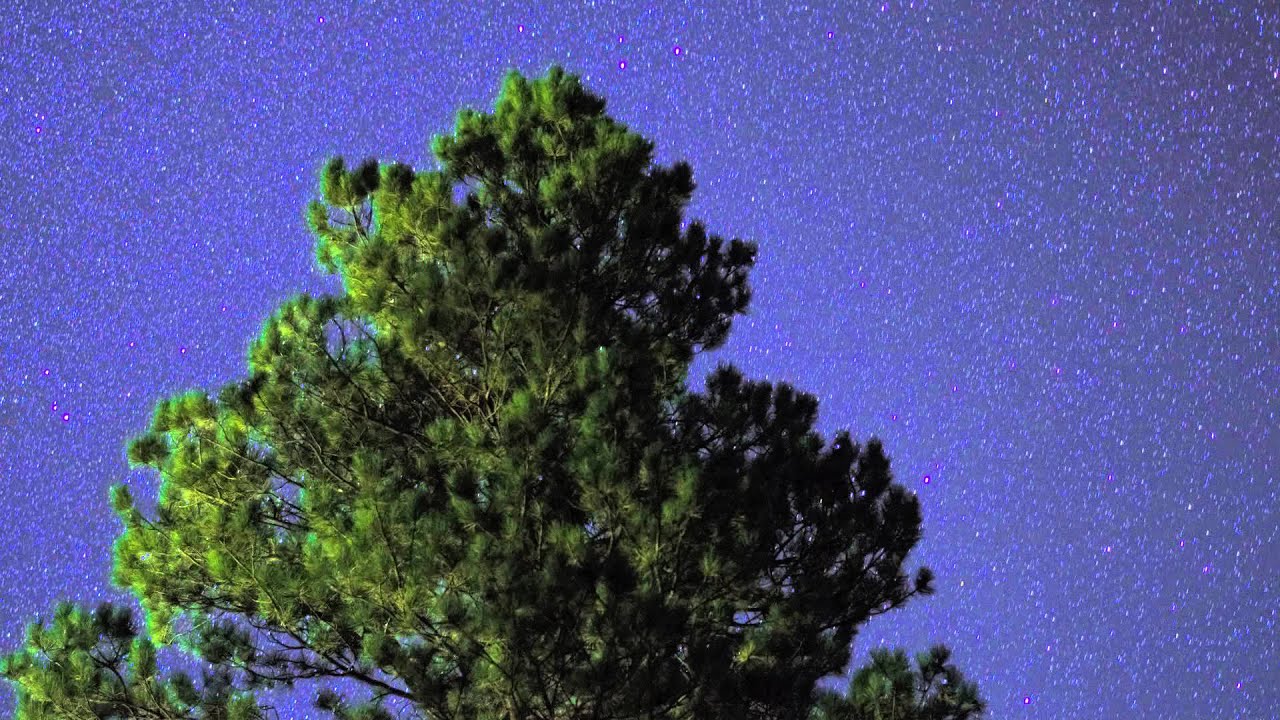 Timberon Timelapse