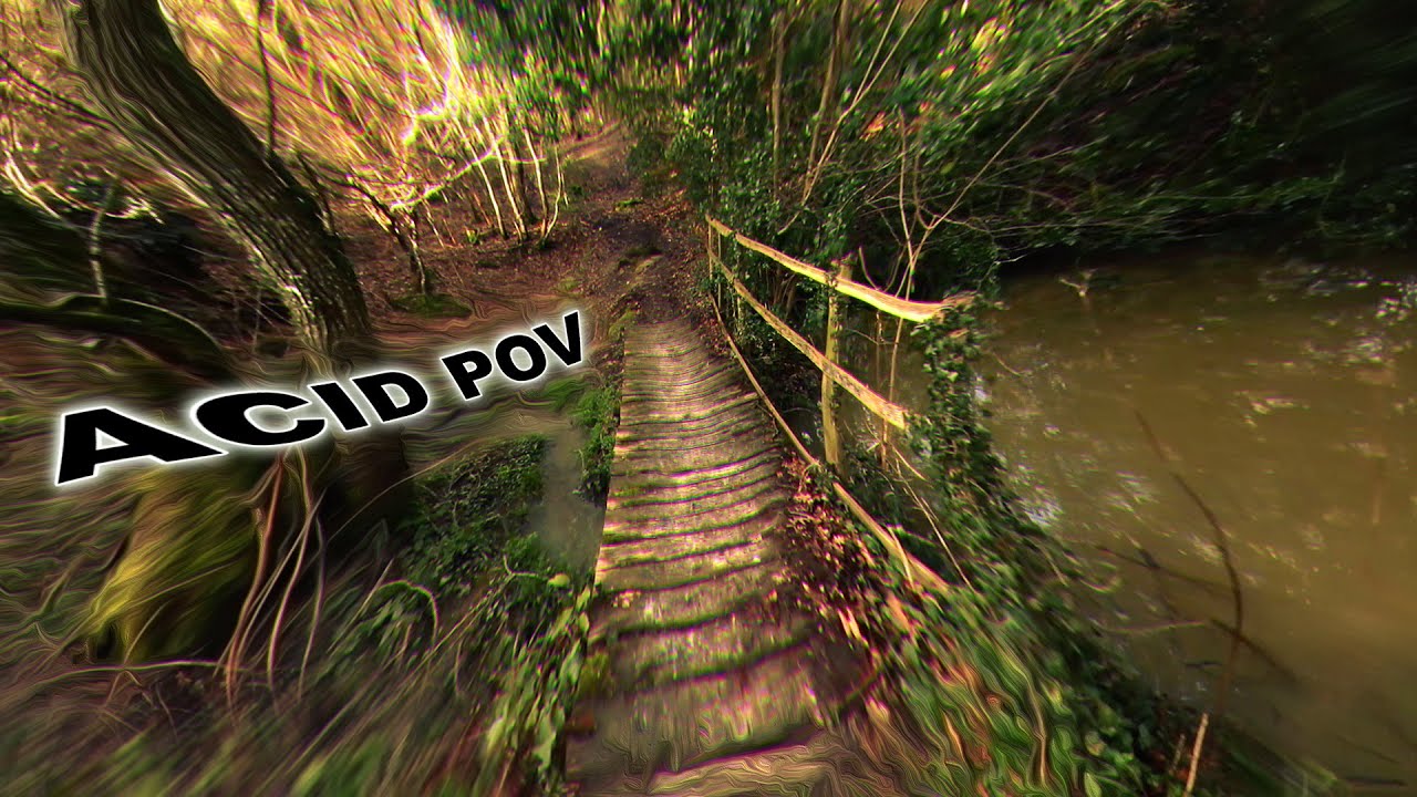ACID REPLICATION | Psychedelic Visuals | relaxing trippy visuals | trippy nature acid trip pov !!!