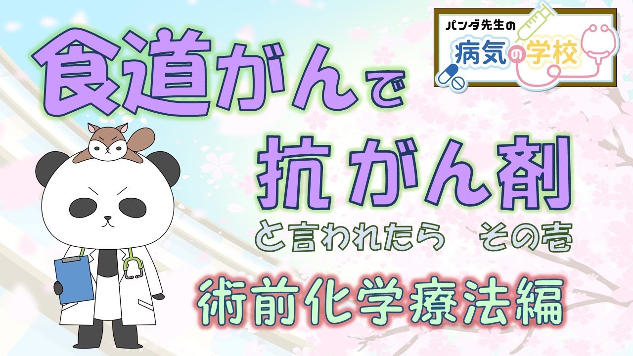 【食道がんと言われたら（術前化学療法編）】