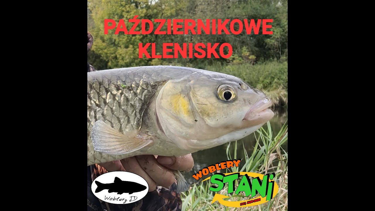 PAŹDZIERNIKOWE KLENISKO