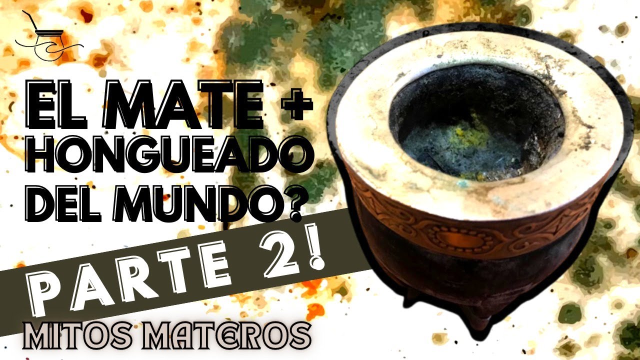 ¿Se puede salvar un Mate Imperial LLENO de HONGOS? PARTE 2