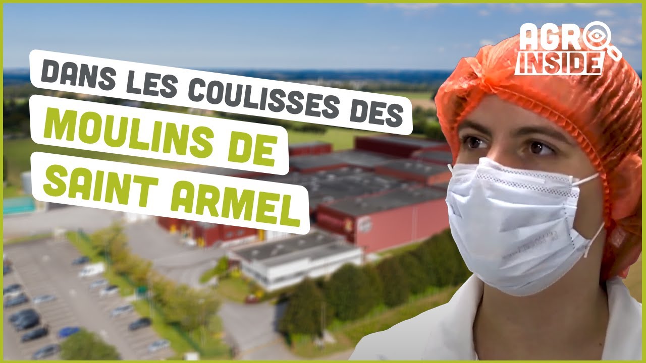 Les Moulins de Saint Armel | Les coulisses d'une usine agroalimentaire | Agromousquetaires