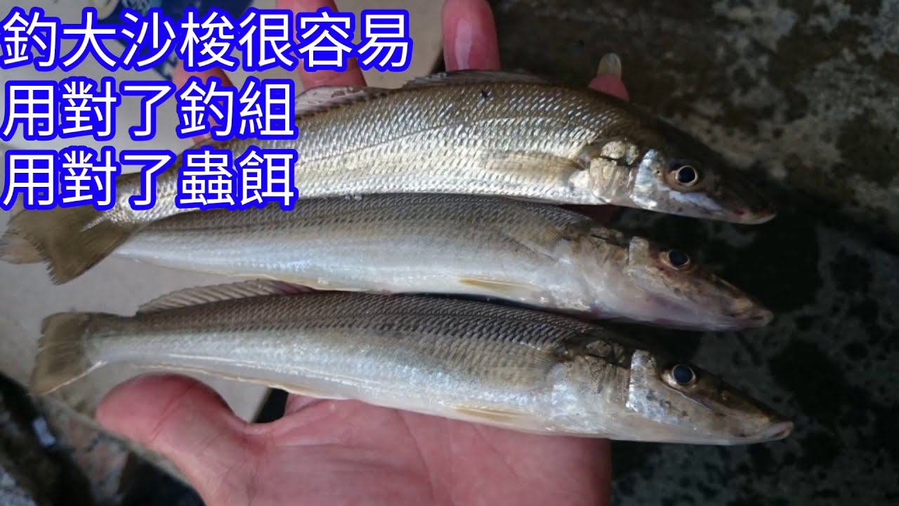 連鉤綁法教學+T柱綁法  如何綁出蟲餌專用魚鉤