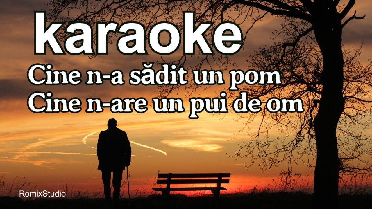 Cine n-a sadit un pom, cine n-are un pui de om - Karaoke - Versuri - Negativ | Muzica live - 2025