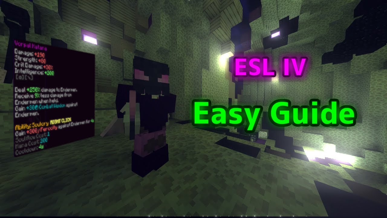 【Hypixel Skyblock】初心者向けEnderman Slayer T4ガイド～