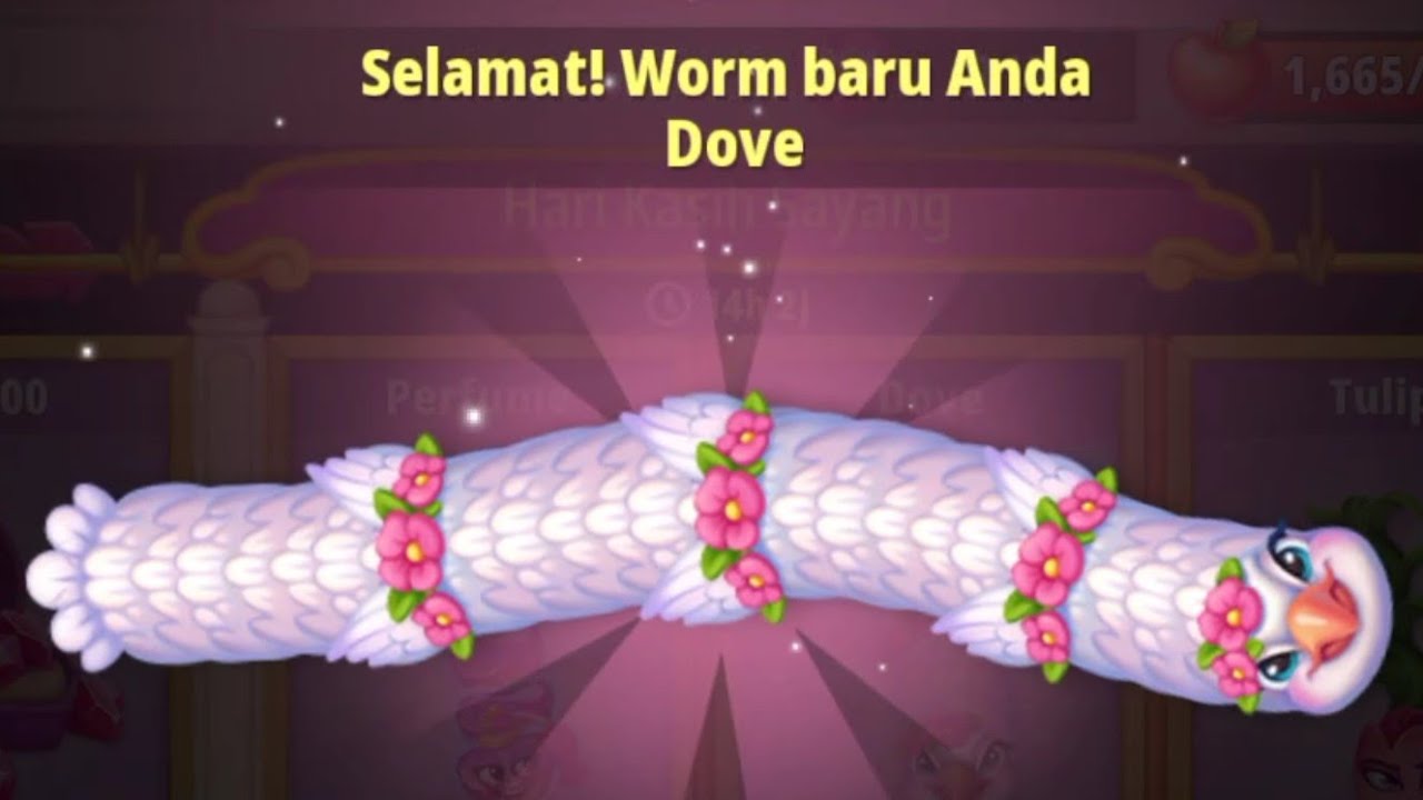 Akhirnya Dapat Cacing Baru Lagi WORMSZONE Update Hari Kasih Sayang Day 9